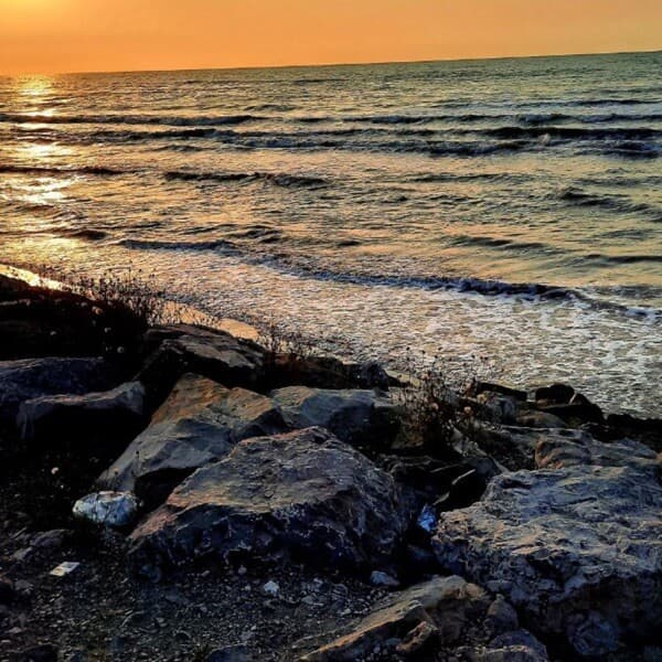 تصویر پروفایل علي افشار مشاور املاک آجر